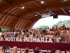 JCM_8915