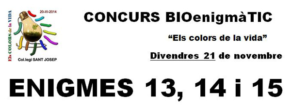 CONCURS BIOenigmàTIC - Enigmes 13-14-15