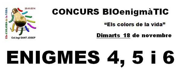 CONCURS BIOenigmàTIC - Enigmes 4-5-6