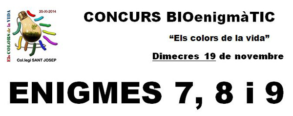 CONCURS BIOenigmàTIC - Enigmes 7-8-9