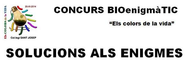 CONCURS BIOenigmàTIC-solucions